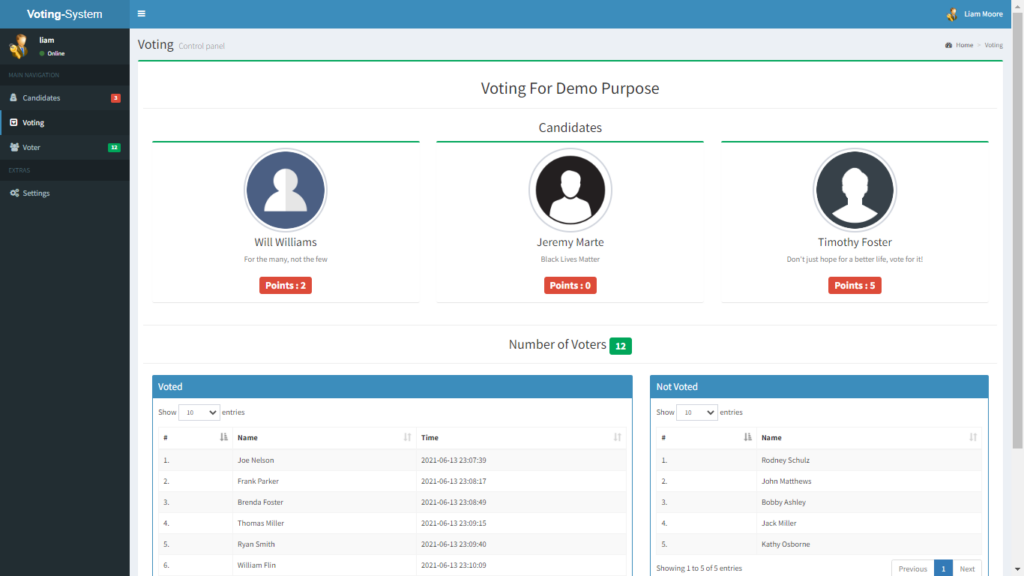 Online Voting System Voting