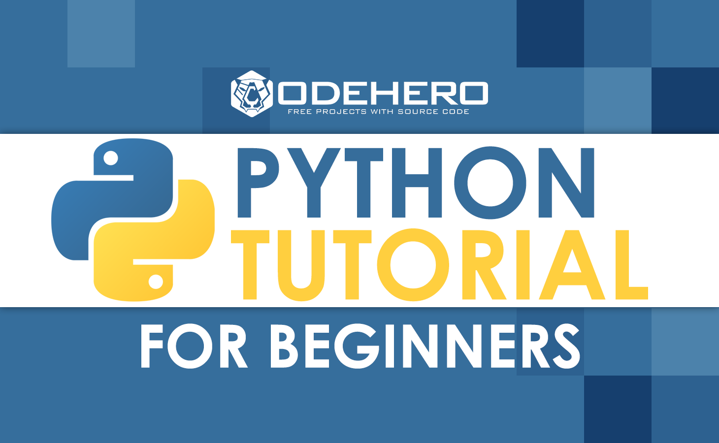 Best Python Tutorial For Beginners